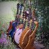 GITARRENST&Auml;NDER 3