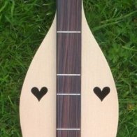 Dulcimer_John Rawlinson_Halsway_May 2016_3.jpg