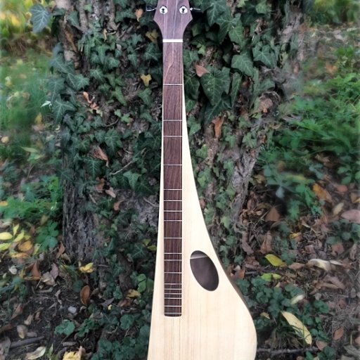 konzertdulcimer