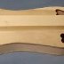 Nathan Hicks dulcimer 004