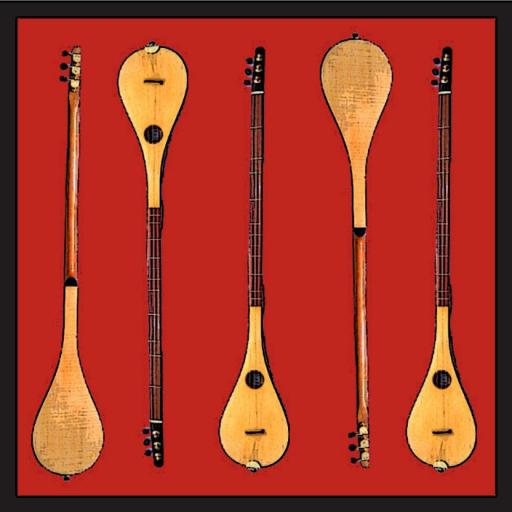 Different types store of dulcimers