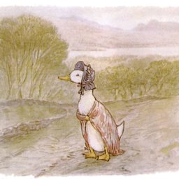 canard