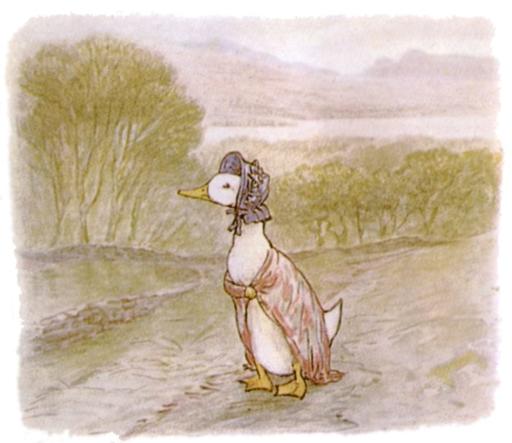 canard
