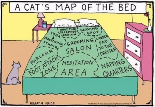 catmap.jpg