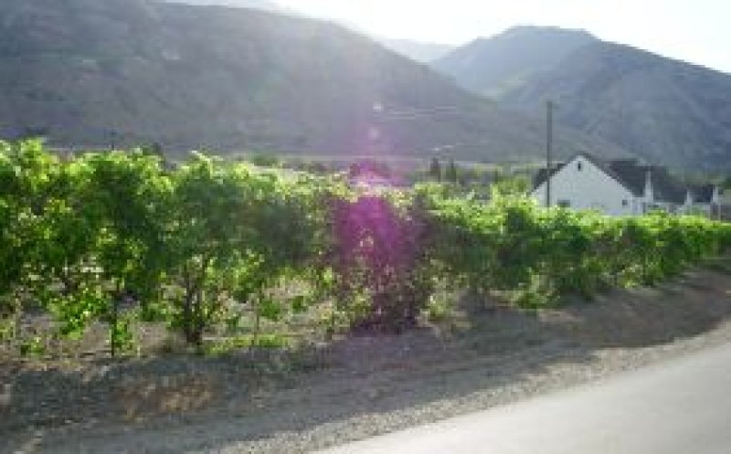 Dorwinion (version 3) - practice