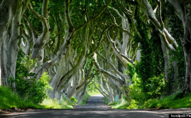 Molly of the Ringlets (Molly na gCuach N&iacute; Chuillean&aacute;in)