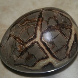 Dragon Egg