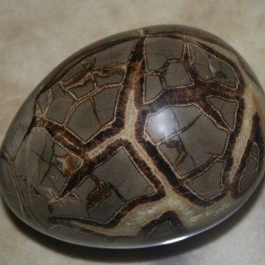 Dragon Egg