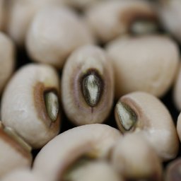 new-years-tradition-the-origins-of-eating-black-eyed-peas