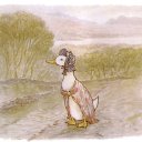 canard