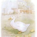 canard