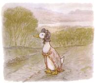 canard