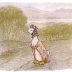 canard