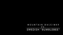 Mountain Dulcimer vs. Swedish Hummel